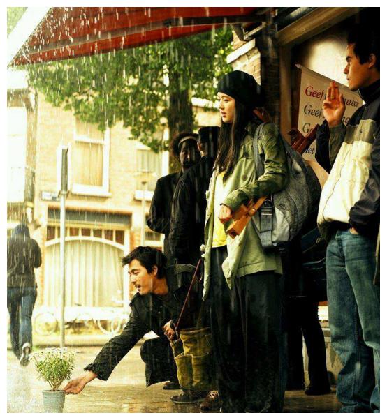 韓國電影雛菊，與自然美景的對話之旅，探尋內(nèi)心平和與喜悅的旅程