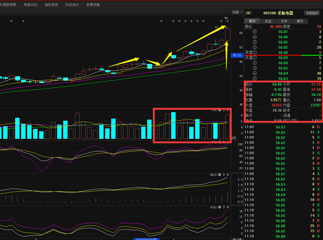 博天環(huán)境股票行情及自然美景探索之旅