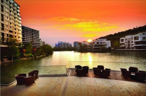 滟紫臺最新動態(tài)，變化中的學(xué)習(xí)力量，成就感的源泉