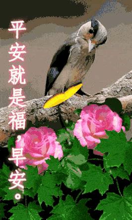 最新動(dòng)態(tài)