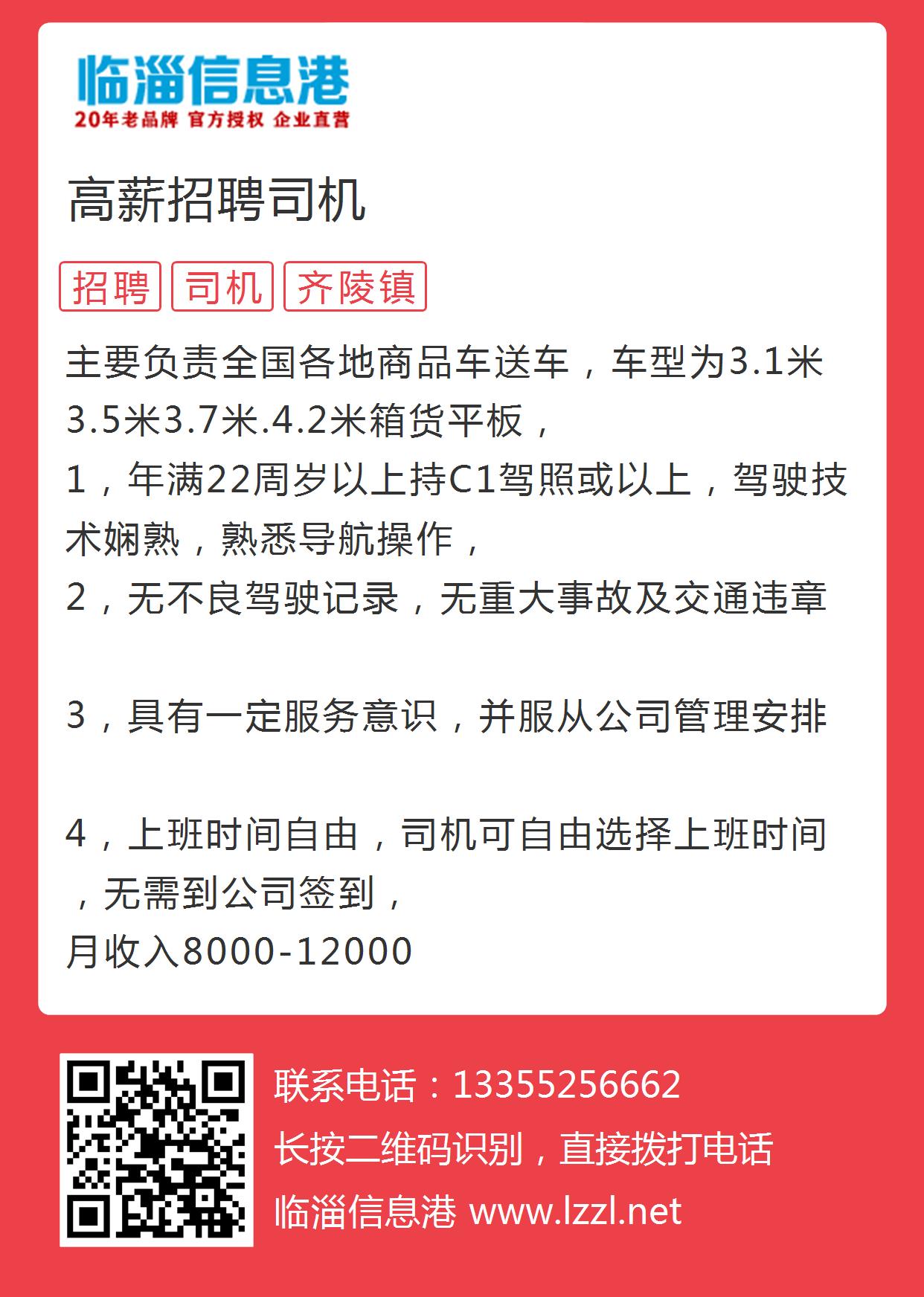 林州司機(jī)招聘信息探索，小巷中的職業(yè)風(fēng)味