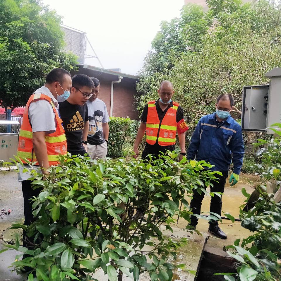 成都環(huán)保檢查動態(tài)更新，持續(xù)環(huán)境治理行動進展報告