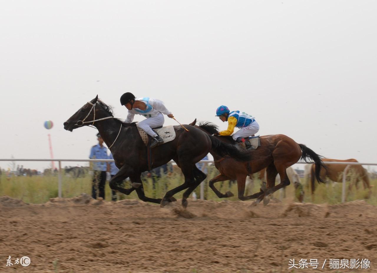 內(nèi)蒙古賽馬比賽視頻，小巷中的激情與獨(dú)特風(fēng)味探尋之旅