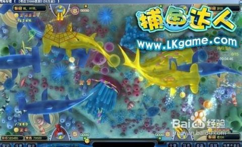 掌握最新捕魚技巧，輕松成為捕魚達(dá)人！