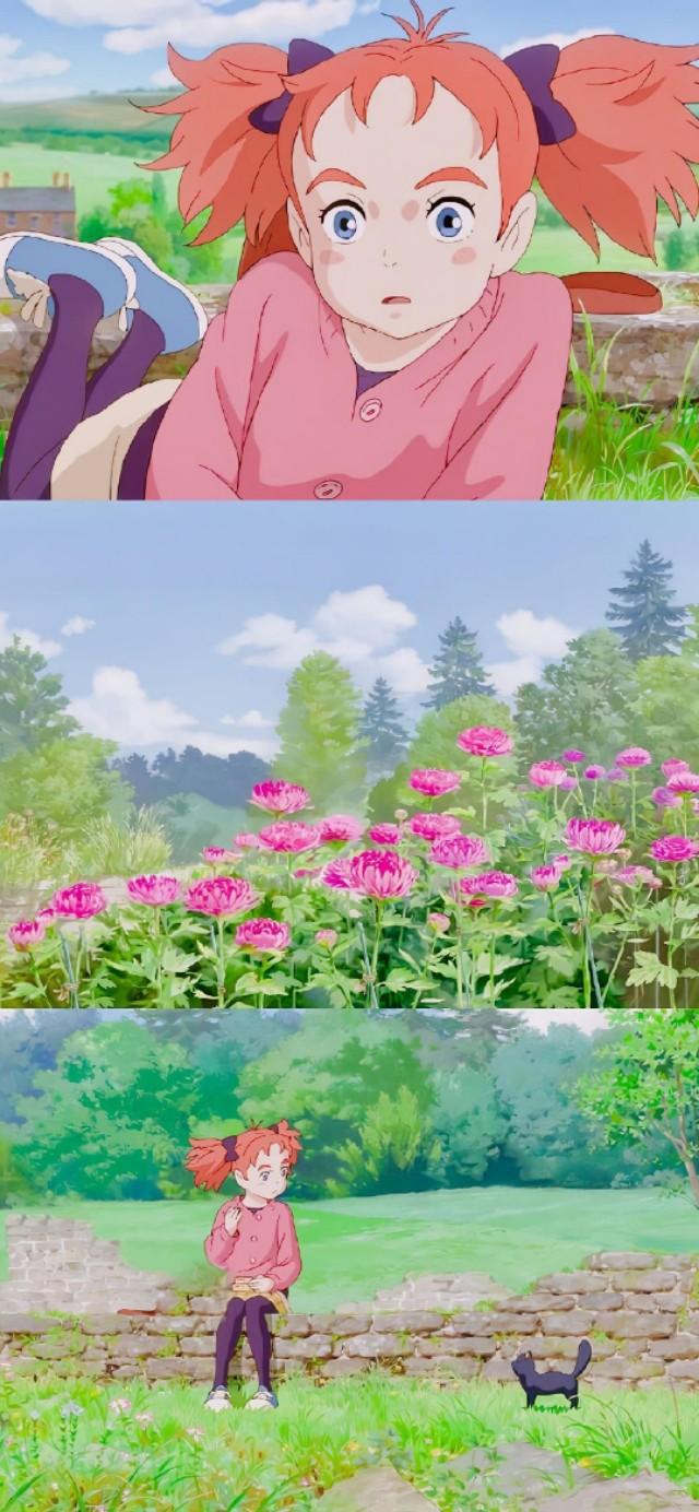 瑪麗動漫，夢幻之旅，開啟二次元世界的大門?