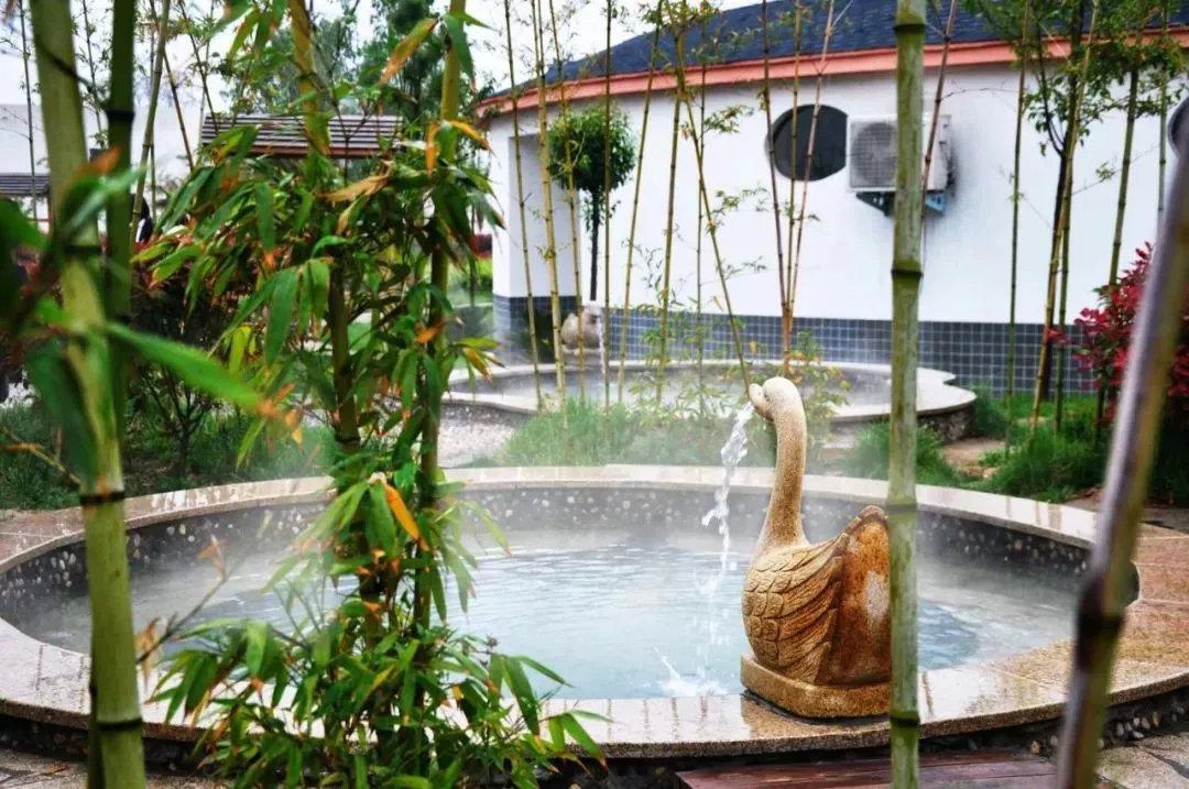 溫泉招聘信息，探索自然美景之旅，開啟心靈平靜與喜悅的旅程