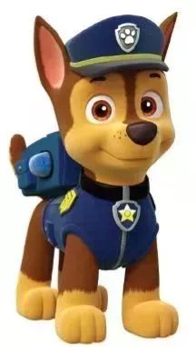 最新阿奇資訊，學(xué)習(xí)變革，擁抱自信成就的力量