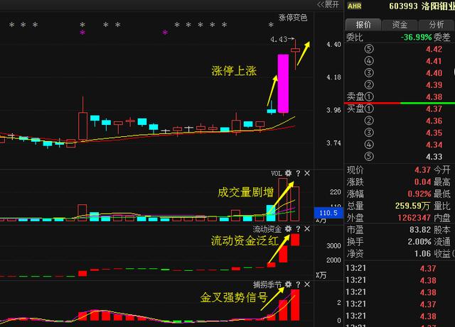 洛陽鉬業(yè)重組最新動態(tài)揭秘，步驟指南與最新進展