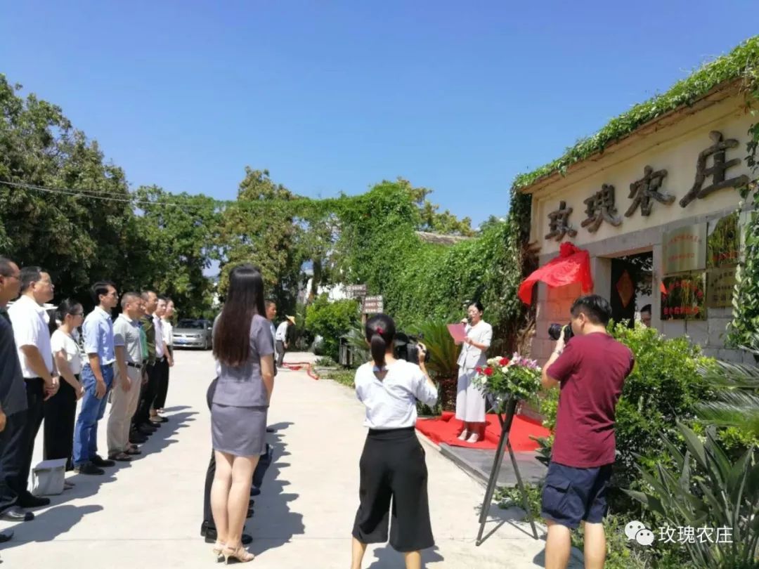 長泰人才網(wǎng)古農(nóng)農(nóng)場最新職位招聘大揭秘，小巷深處的特色小店等你來探索！