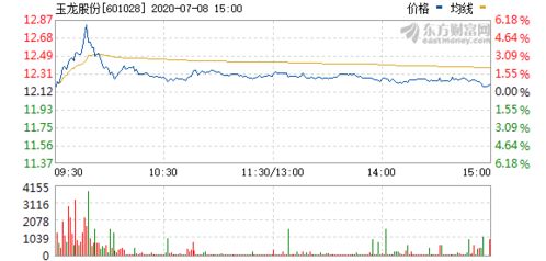 玉龍股份股票行情最新動(dòng)態(tài)，股市熱議焦點(diǎn)??