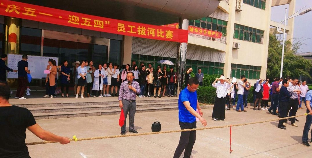 拔河比賽，團(tuán)結(jié)的力量展現(xiàn)與300字作文描述