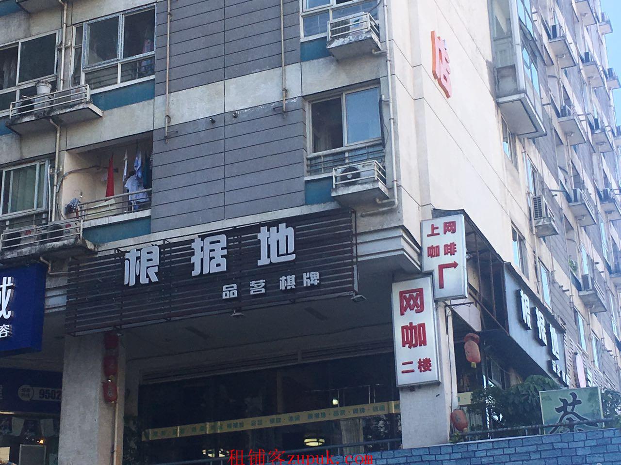 成都茶坊轉(zhuǎn)讓信息詳解，深度探討與觀點(diǎn)闡述