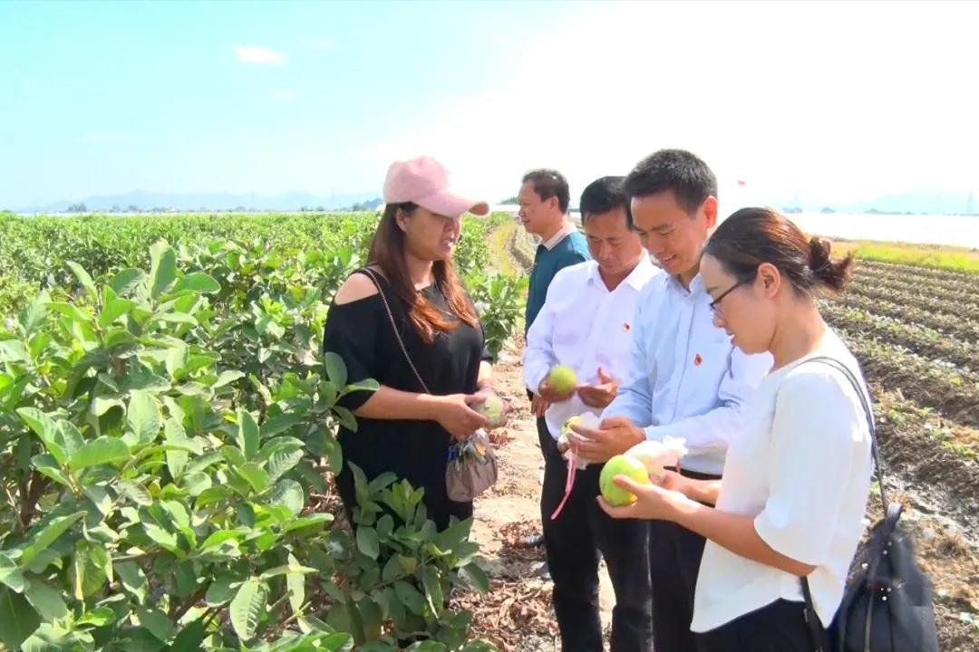 58同城海豐最新職位招聘，與自然美景同行，尋找內(nèi)心的平和寧靜之旅