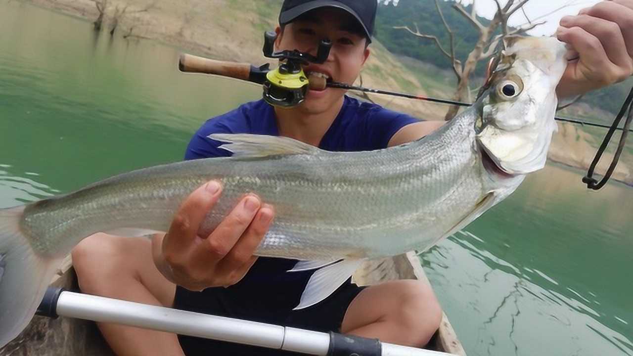 最新翹嘴魚釣魚直播，探尋小巷釣魚天堂，直播實(shí)戰(zhàn)分享！