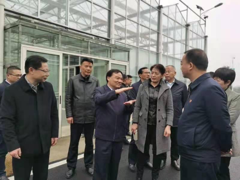 金博地最新動態(tài)，引領(lǐng)創(chuàng)新，塑造未來藍(lán)圖之路