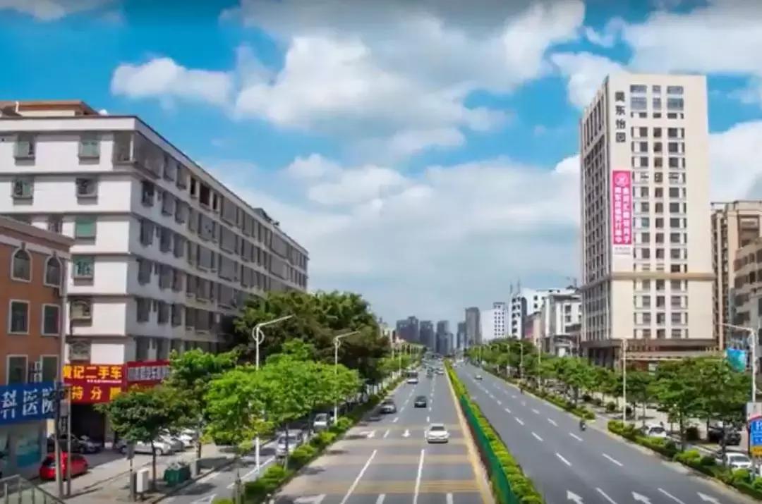 揭西生豬今日價(jià)格,揭西生豬今日價(jià)格全面解析，新鮮資訊一探究竟！????