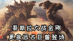 深度解析最新泰坦卡的優(yōu)勢與挑戰(zhàn)