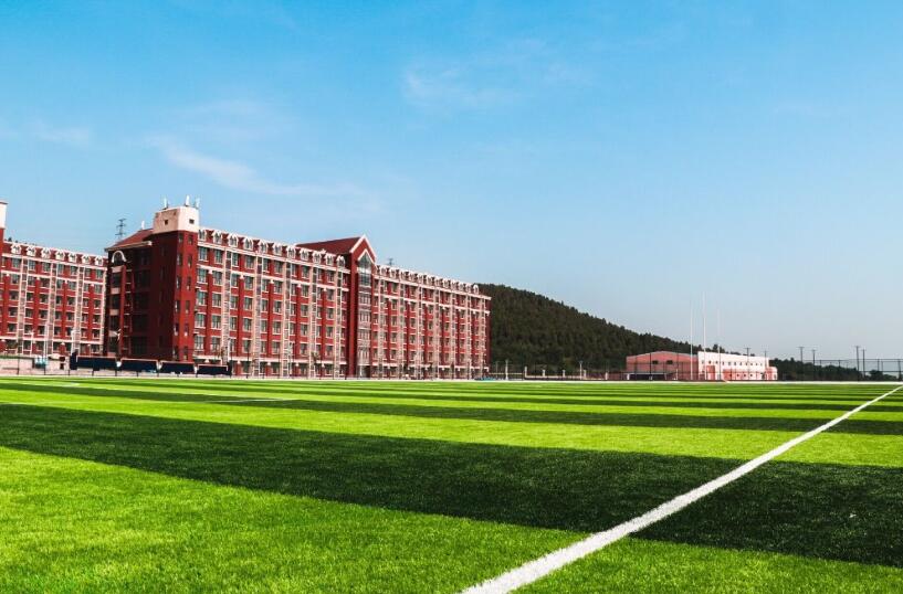 山東大學(xué)動漫設(shè)計(jì)專業(yè)，自然美景中的探索之旅