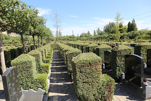 北京墓地價(jià)格指南，如何選購(gòu)與購(gòu)買(mǎi)墓地？