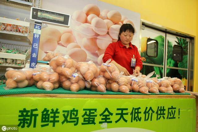 牧雞蛋價(jià)格行情深度解析