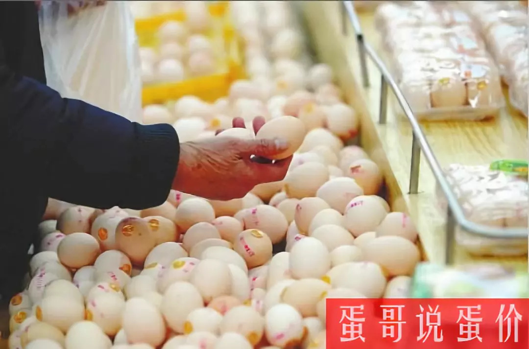 河南周口雞蛋價(jià)格行情詳解與分析