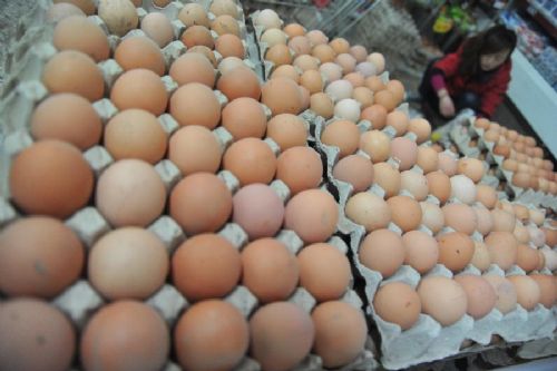 河南周口雞蛋價(jià)格行情詳解與分析
