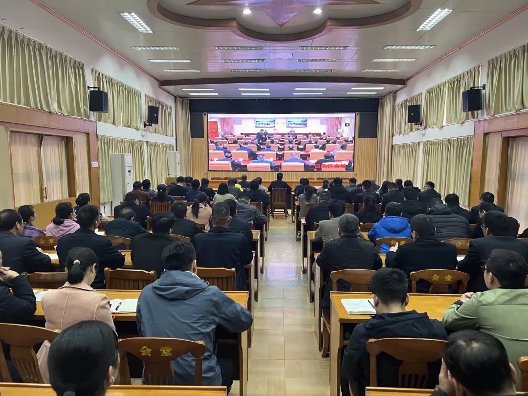 平南最新資訊，小城溫馨日常與家的溫暖故事