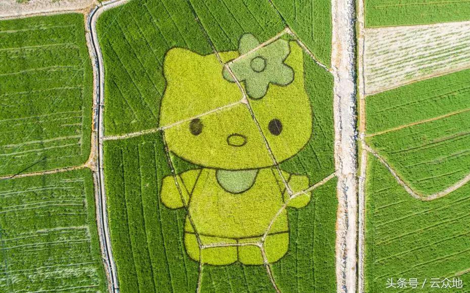 小巷深處的寶藏小店，最新賺錢創(chuàng)意大揭秘