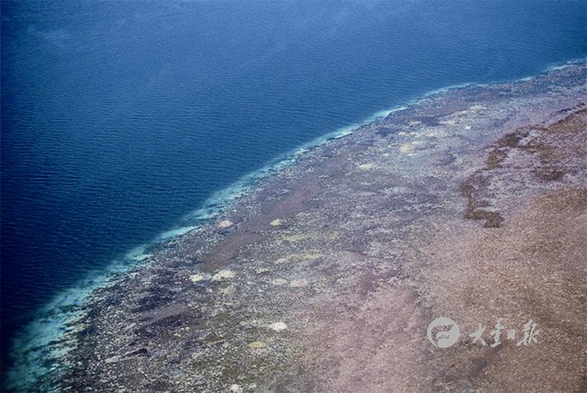 最新海洋氣象快報(bào)與小巷深處的海洋特色小店探秘揭秘