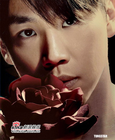 陶喆全新專輯自然之旅，探尋內(nèi)心寧靜的旋律呼喚