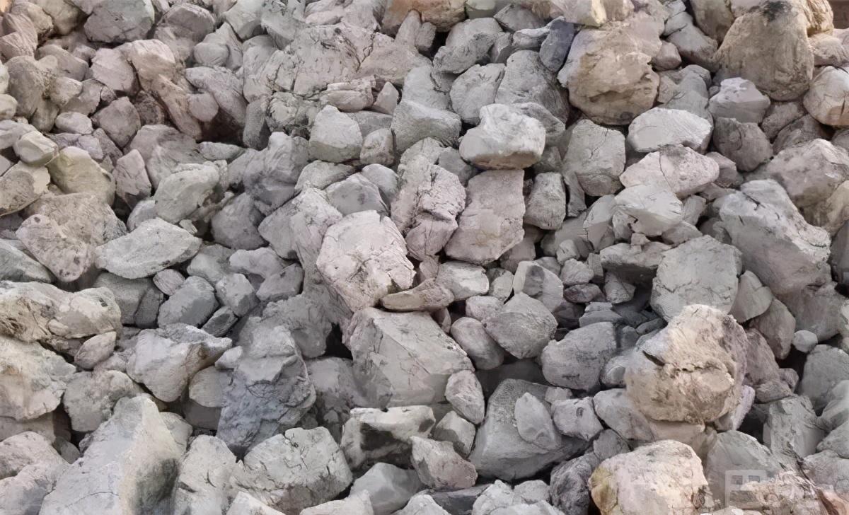 鈮鐵最新行情，揭示市場(chǎng)走勢(shì)與一段溫馨的友情故事