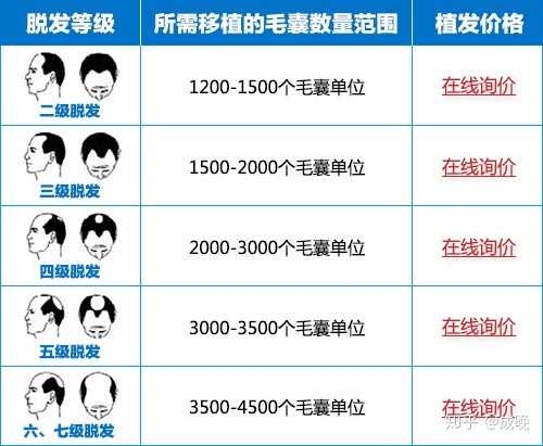 種頭發(fā)的價格之旅，探尋價格與自然的浪漫遨游