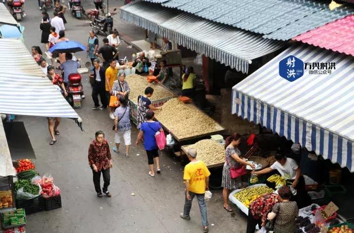 射洪未來房價預(yù)測與小巷深處的居住新篇章（2025年最新）