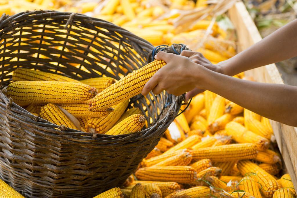 三月行情，時尚與投資完美交融的時刻