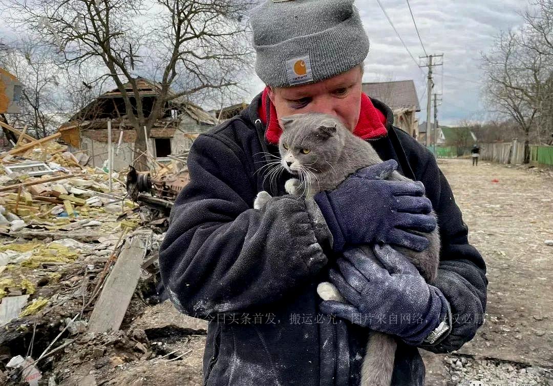 揭秘最新套路招數(shù)，深度探討與實戰(zhàn)解析