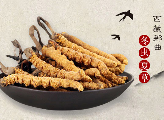 那曲蟲(chóng)草最新價(jià)格動(dòng)態(tài)，學(xué)習(xí)成長(zhǎng)與自信成就感的源泉