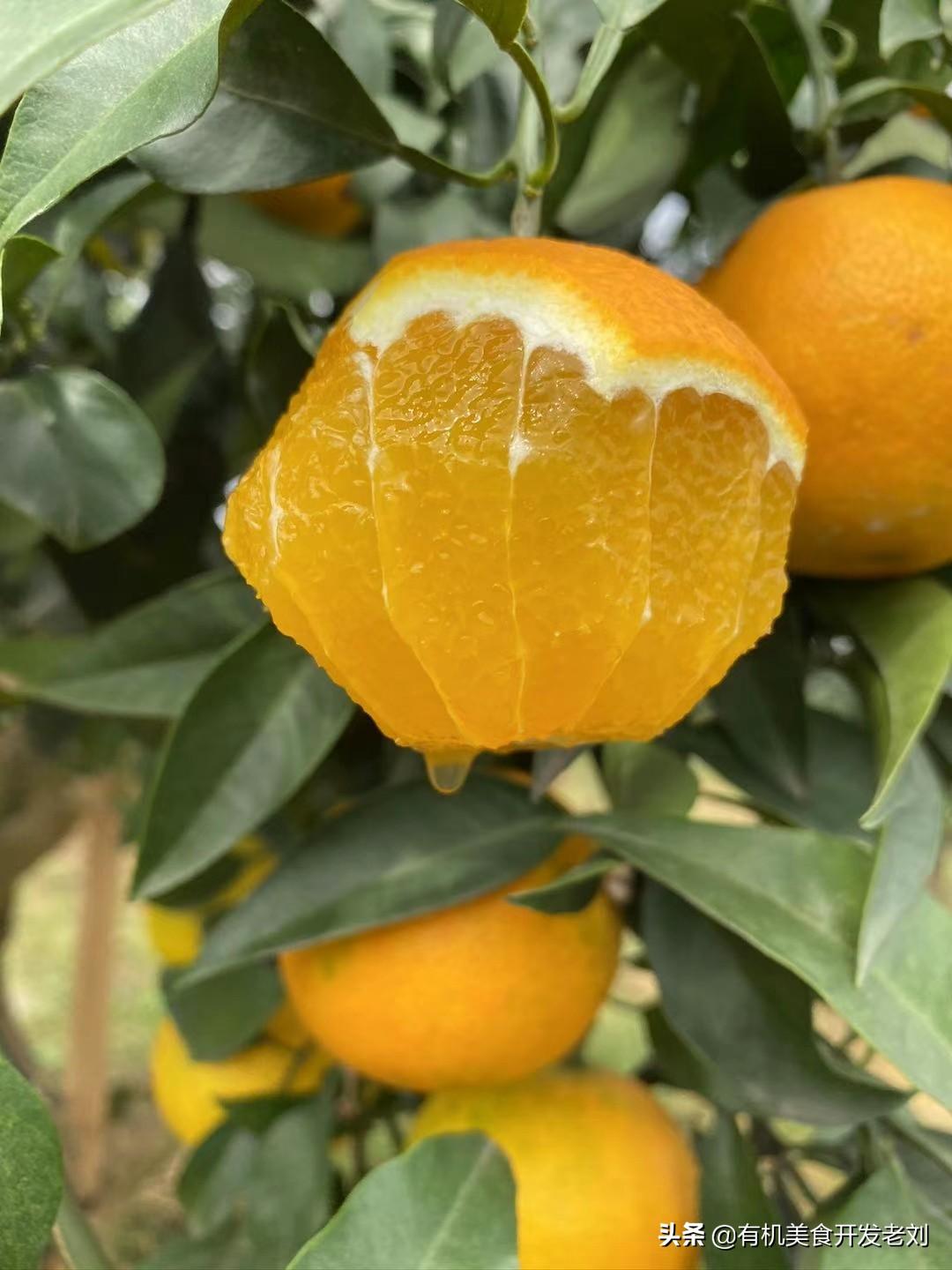 最新地塊詳解與步驟指南，從入門(mén)到精通的全方位探討