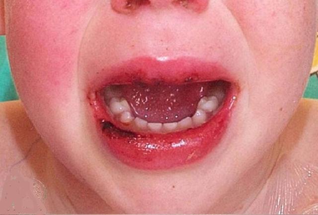 冠肺最新通報(bào)，自然美景探索之旅的心靈寧?kù)o之旅