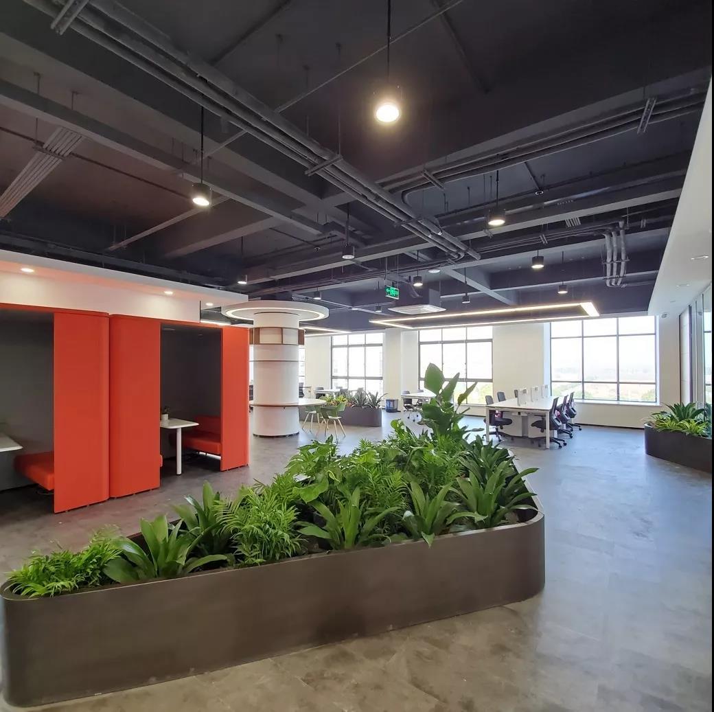 最新申報導師制度，利弊分析與個人觀點探討