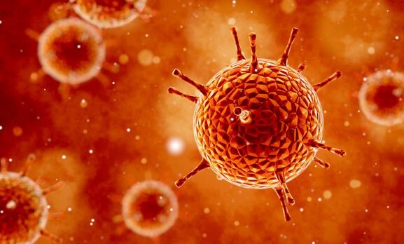 揭秘最新版病毒，背景、重大事件及其影響