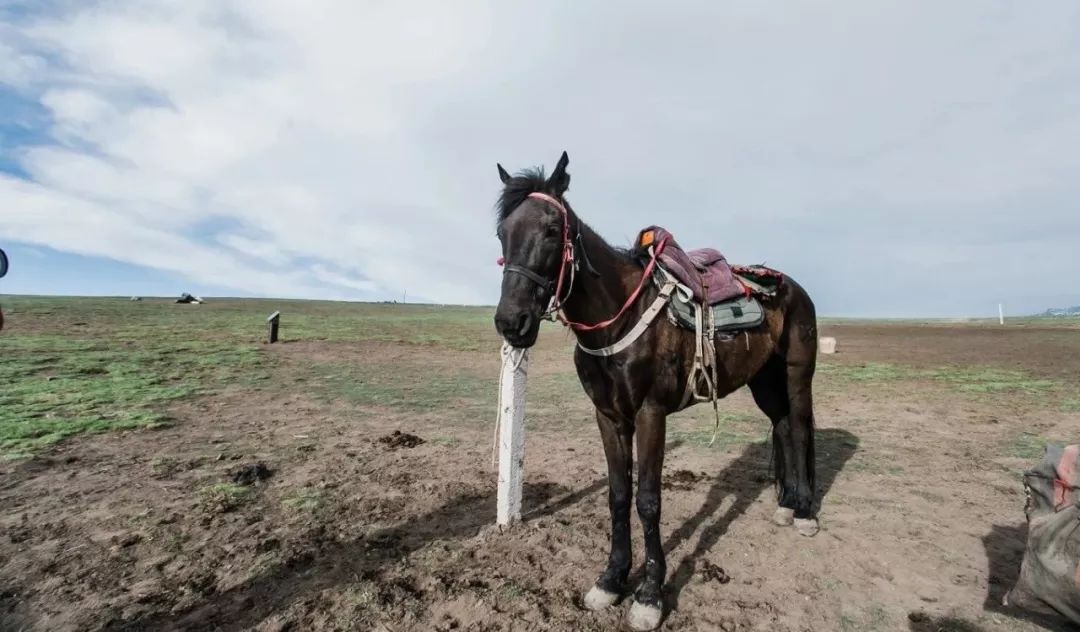 脫疆鳴鑾最新，時代變遷下的影響與展望