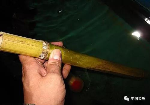 養(yǎng)魚最新工具概覽，創(chuàng)新產(chǎn)品助力養(yǎng)魚事業(yè)?