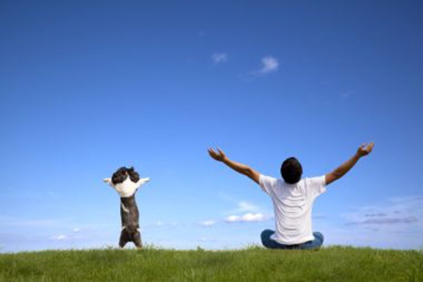 月丘最新視頻，高科技重塑生活，體驗未來科技的魅力