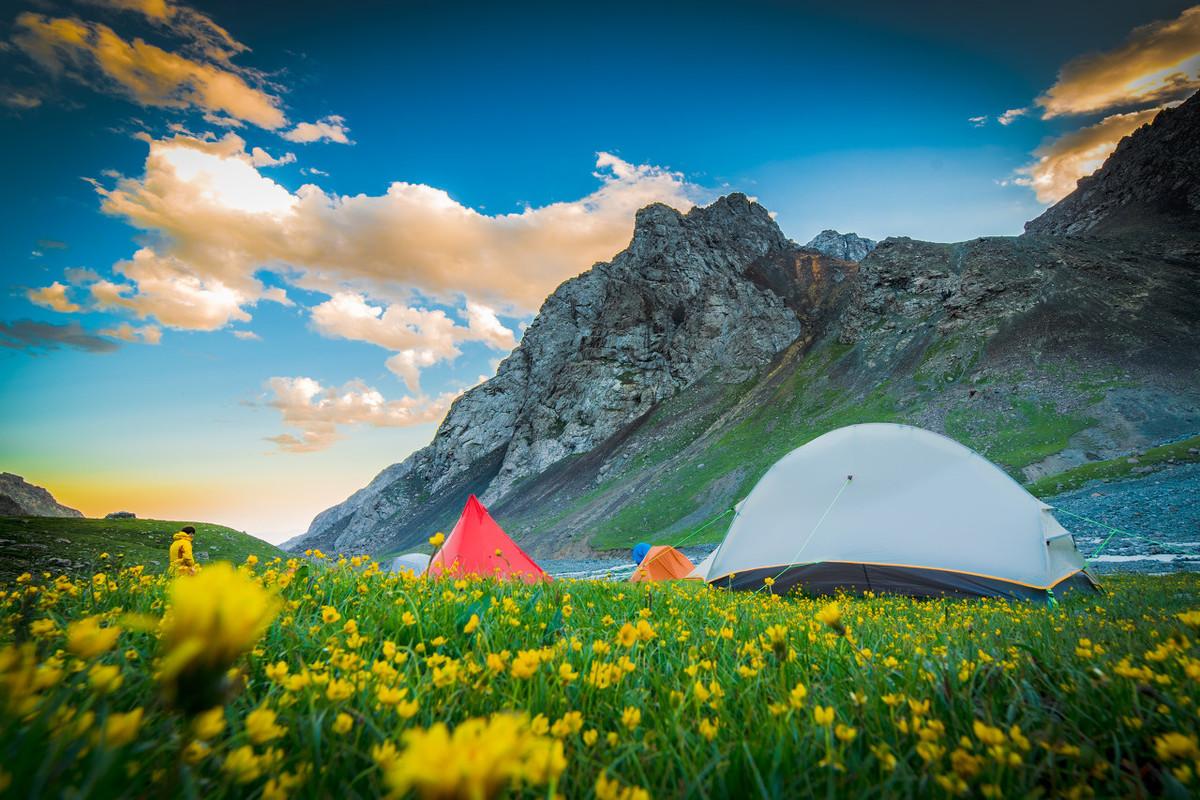 芳草冰視最新，任務(wù)完成與技能學(xué)習(xí)詳細(xì)步驟指南