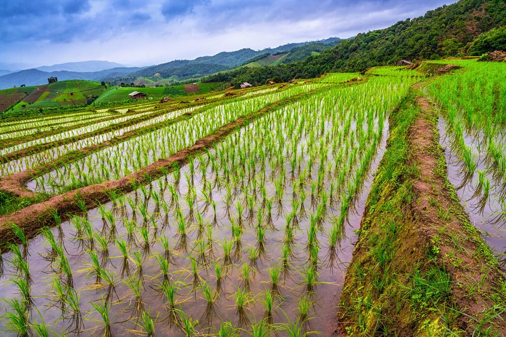 疫情控制最新動(dòng)態(tài)更新，最新進(jìn)展與趨勢(shì)分析