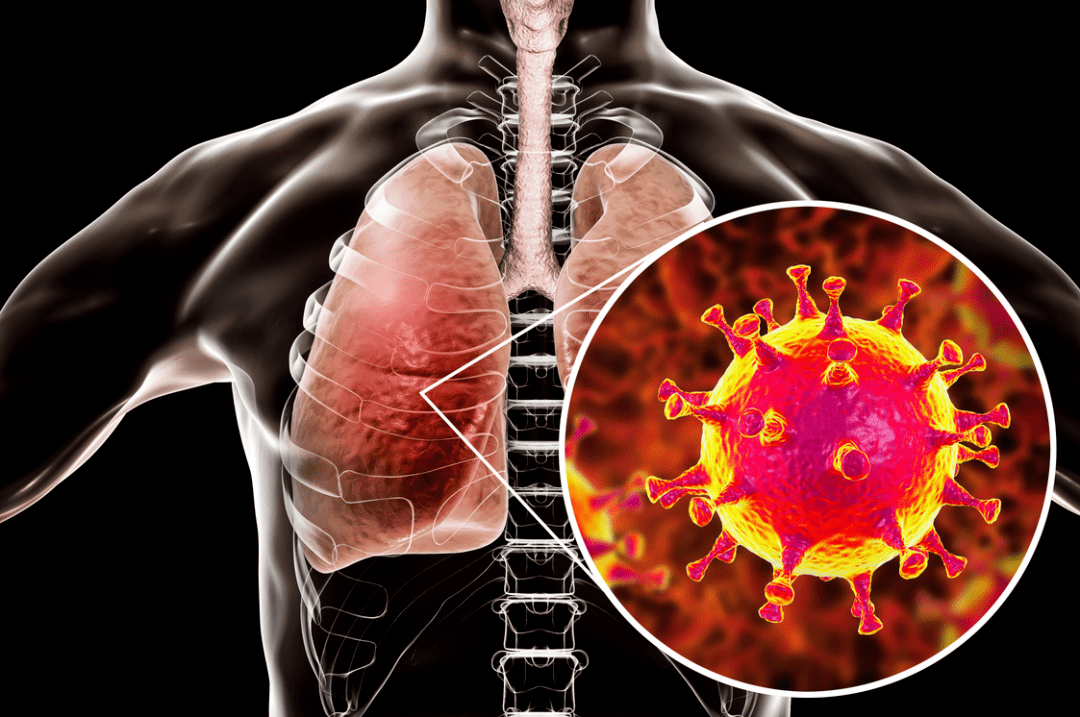 全球病毒疫情最新動態(tài)，心靈之旅在大自然的呼喚中啟程