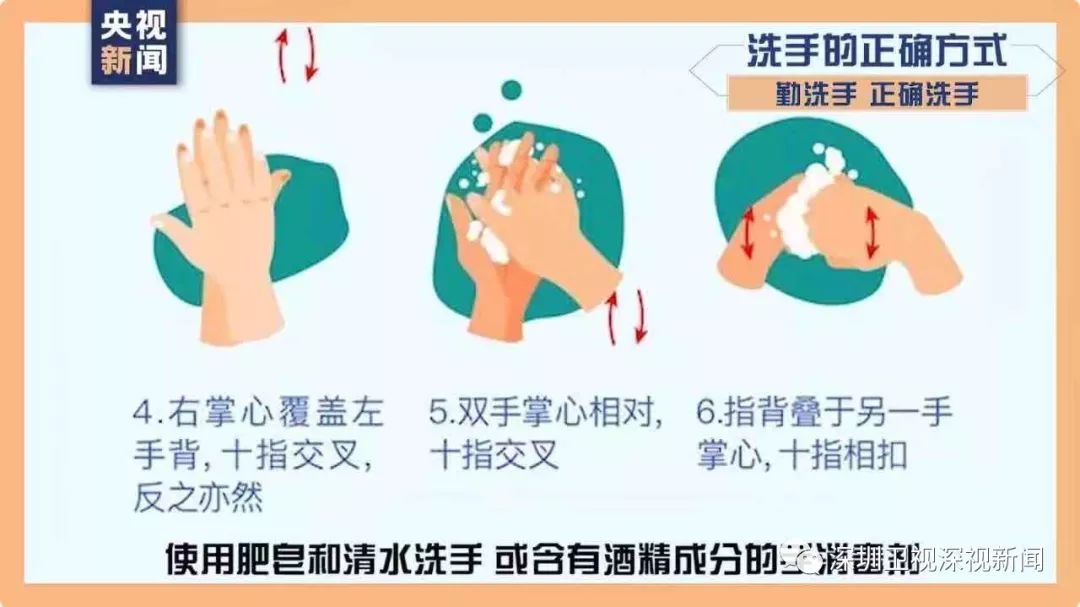 冠狀最新動態(tài)，背景、進展與全球影響