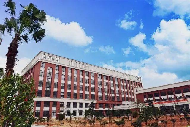 溫州最新動(dòng)態(tài)，城市變遷中的學(xué)習(xí)之光