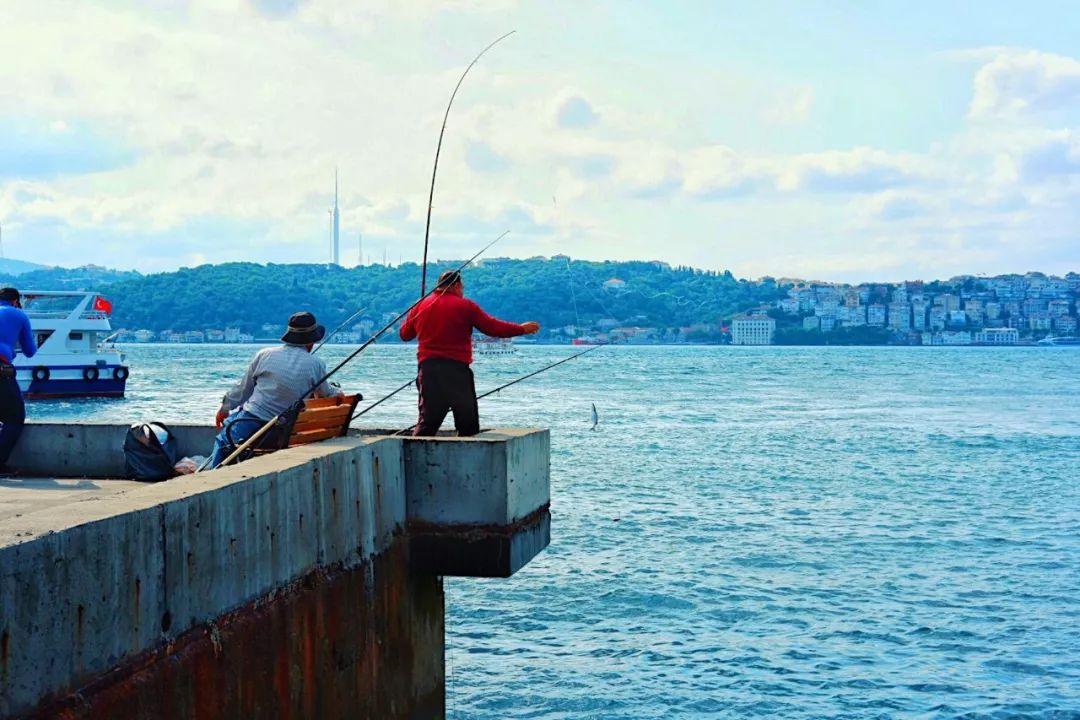 抖音最新流量趨勢洞察，機遇與挑戰(zhàn)并存