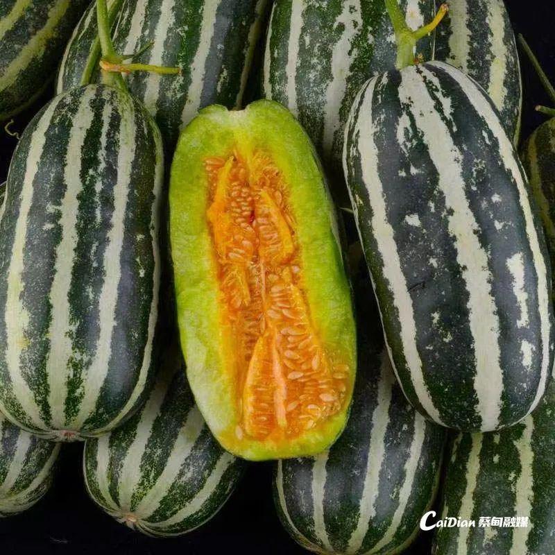 網(wǎng)紅最新瓜，一場溫馨有趣的日常故事揭秘